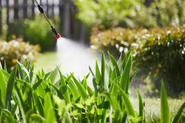 24/7 Emergency Termite Control experts in Zolfo Springs, FL