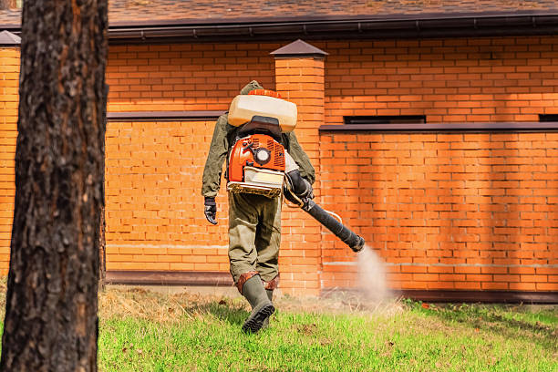 Trusted Mosquito Control service in Zolfo Springs, FL - Nex Pest Control